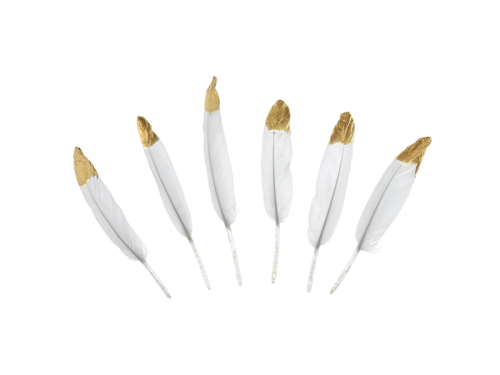 Dekoratīvās spalvas, baltas, 10-16 cm (1 gab. / 6 gab.) Dekoratīvās spalvas, baltas, 10-16 cm (1 gab. / 6 gab.)