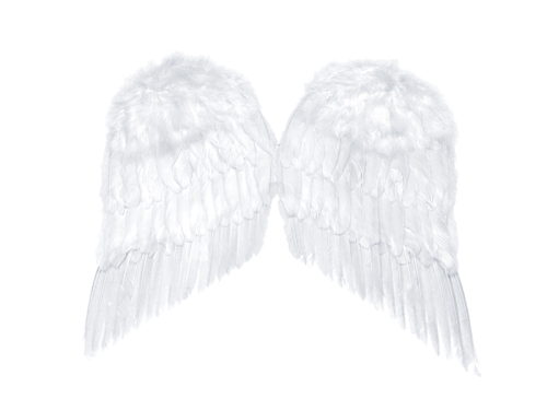Angel's wings, white, 55 x 45cm Angel's wings, white, 55 x 45cm