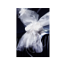 Organza garlands, white, 1.8m (1 pkt / 2 pc.) Organza garlands, white, 1.8m (1 pkt / 2 pc.)