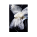 Organza garlands, cream, 1.8m (1 pkt / 2 pc.)