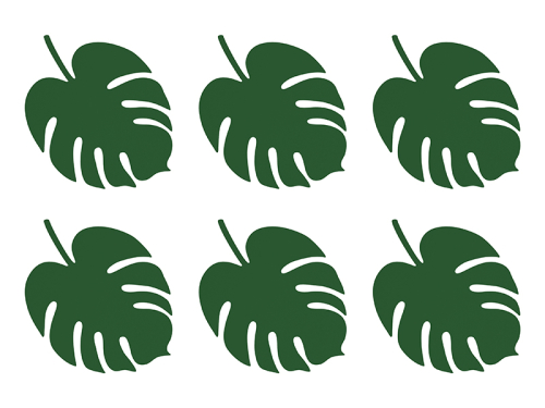Vietu kartītes Aloha - Monstera (1 pkt / 6 gab.)