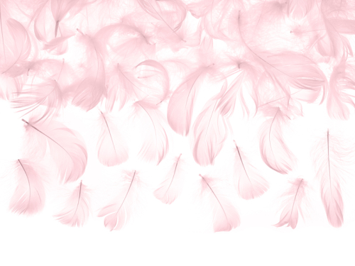 Декоративные перья, светло-розовые, 3г