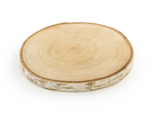 Tree slices, diameter 10-12 cm