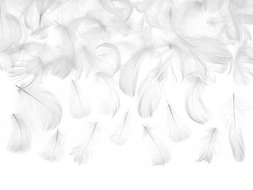 Декоративные перья, белые, 3г