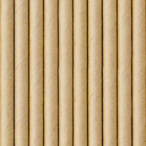 Papīra salmiņi, kraft, 19,5 cm (1 gab. / 10 gab.)