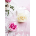 Glass balls - candleholder, 10cm (1 pkt / 4 pc.) Glass balls - candleholder, 10cm (1 pkt / 4 pc.)