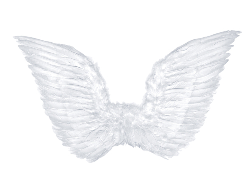 Angel's wings, white, 75 x 45cm Angel's wings, white, 75 x 45cm