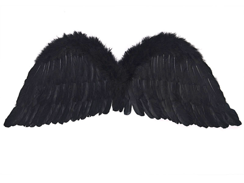 Angel's wings, black, 75 x 30cm Angel's wings, black, 75 x 30cm