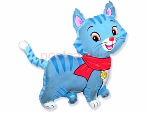 Kitten with scarf Blue FOLIJA GAISA BALONS 92 CM