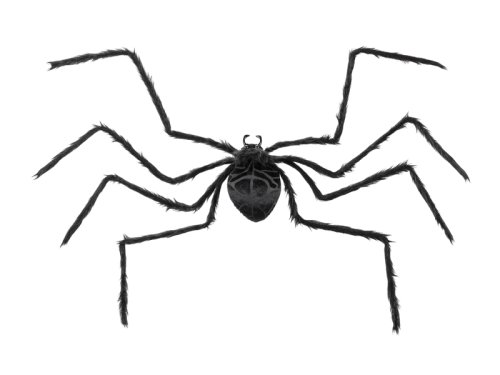 Spider Decoration, black, 21.5x13cm