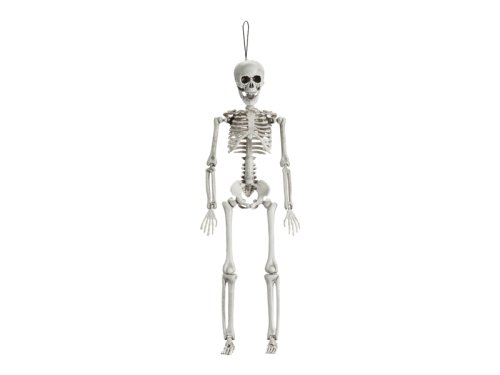 Skeleton Decoration, 40cm Skeleton Decoration, 40cm