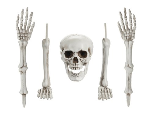 Skeleton Decoration Skeleton Decoration