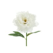 Artificial flower- Peony, 35 cm, white