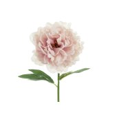 Artificial flower- Peony, 35 cm, pale pink