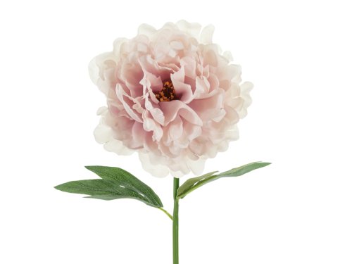 Artificial flower- Peony, 35 cm, pale pink Artificial flower- Peony, 35 cm, pale pink