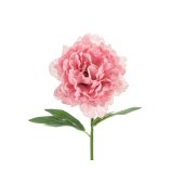 Artificial flower - Peony, 35 cm, pink