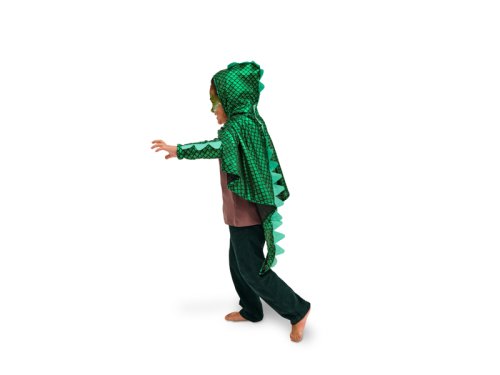 Dragon costume, for a child Dragon costume, for a child