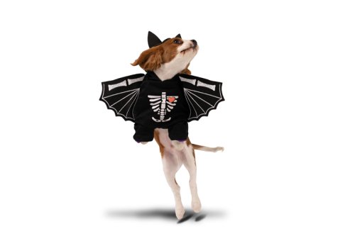 Bat Dog Costume, 45x35cm