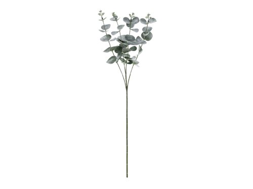 Eucalyptus branch, 60 cm Eucalyptus branch, 60 cm