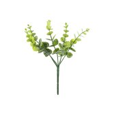 Small bouquet of branches - Eucalyptus, 27 cm