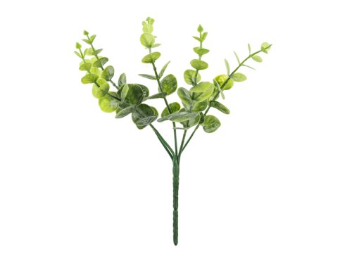 Small bouquet of branches - Eucalyptus, 27 cm Small bouquet of branches - Eucalyptus, 27 cm