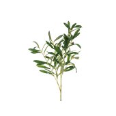 Olive branch, 91 cm