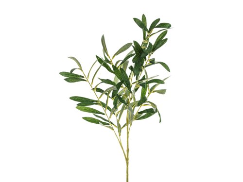 Olive branch, 91 cm Olive branch, 91 cm