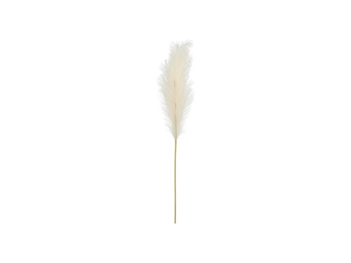 Pampas grass artificial, light cream, 15x110cm Pampas grass artificial, light cream, 15x110cm
