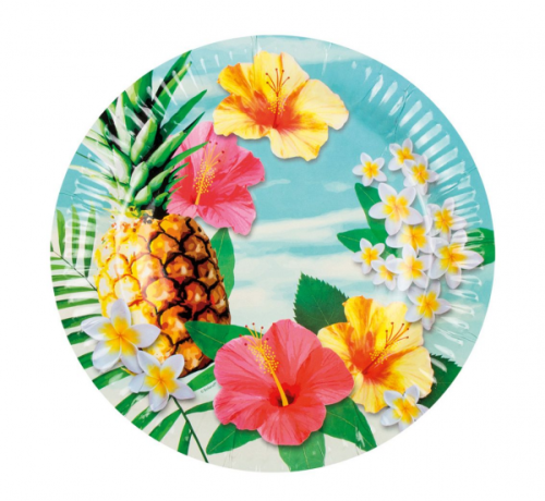Set 6 paper plates 