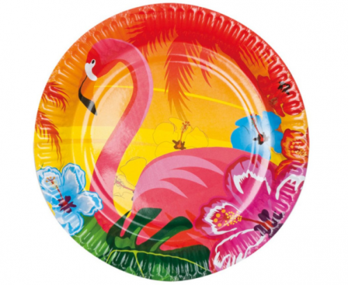Set 6 paper plates 