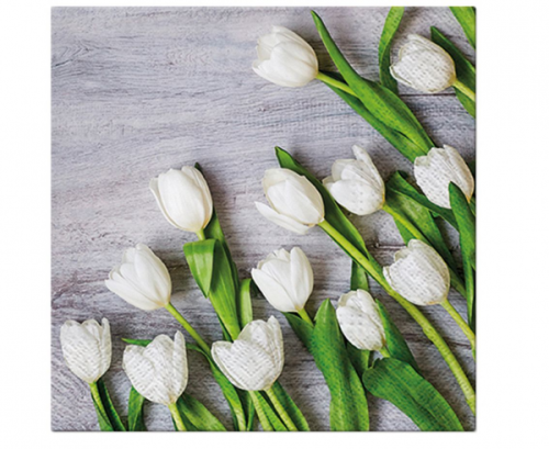 Paper napkins PAW, White Tulips Design, 33 x 33 cm / 20 pcs. Paper napkins PAW, White Tulips Design, 33 x 33 cm / 20 pcs.