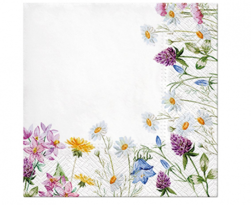 Paper napkins PAW, Spring Frame Design, 33 x 33 cm / 20 pcs.