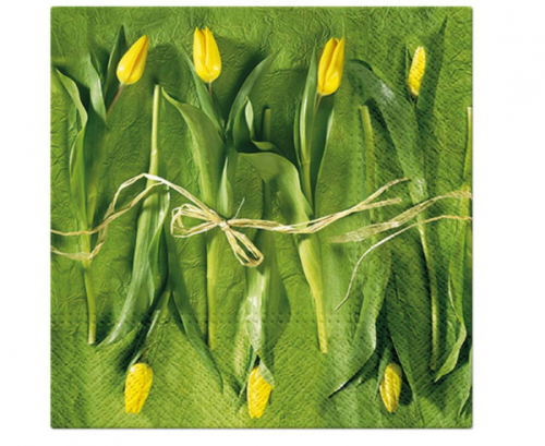 Paper napkins PAW, Fresh Tulips Design, 33 x 33 cm / 20 pcs.
