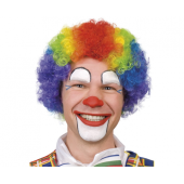 Wig Clown, rainbow