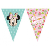 Banner Minnie Tropical Disney, triangle flags