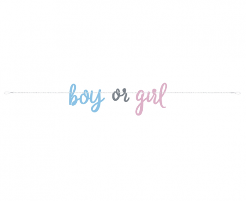 Banner Gender Reveal (blue/pink), 213 cm Banner Gender Reveal (blue/pink), 213 cm