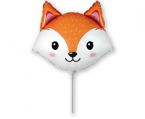 Foil balloon 14