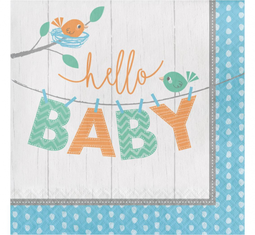 Napkins Baby boy, size 33x33 cm, 16 pcs.