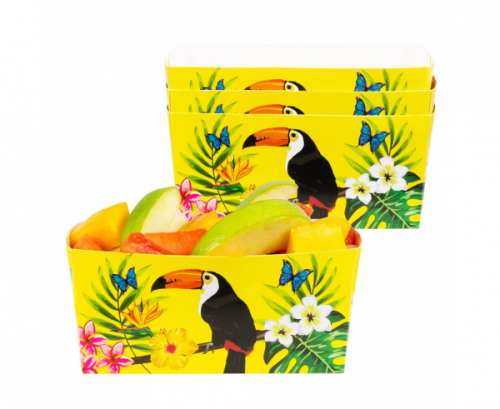 Tucan paper box, 4 pcs