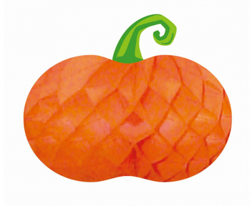 Roznia Pumpkin size 30x30 cm Roznia Pumpkin size 30x30 cm