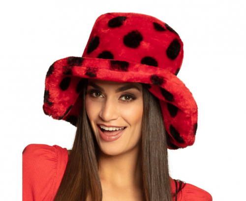 Hat Ladybird Hat Ladybird