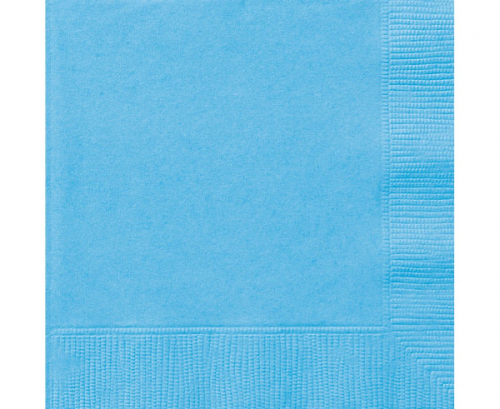 Paper napkins, light blue size 33x33 cm, 20 Pcs Paper napkins, light blue size 33x33 cm, 20 Pcs