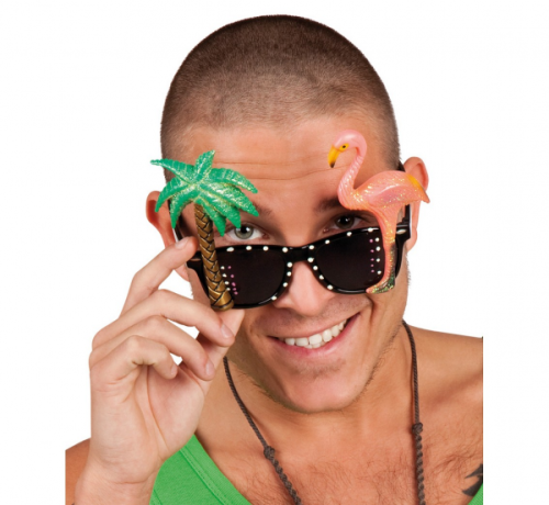 Hawaiian Glasses Hawaiian Glasses