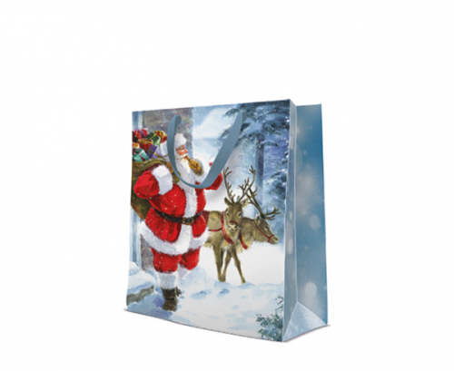 Gift bag PAW Santa is Coming, large, 26.5 x 13 x 33.5 cm