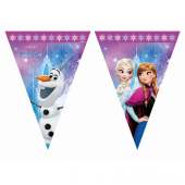 Banner "Frozen Northern Lights" , flags