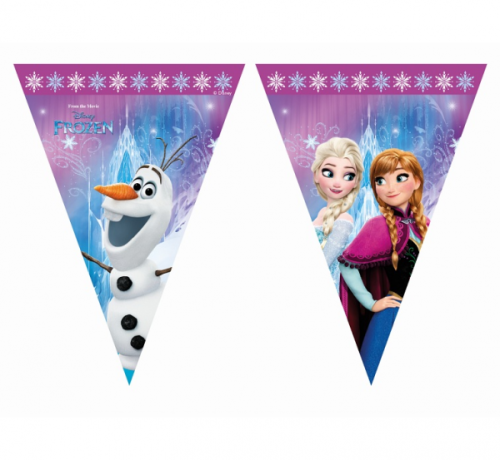 Banner "Frozen Northern Lights" , flags