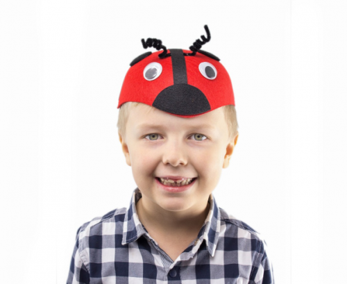 Ladybird hat