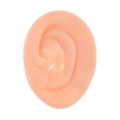 The President's Ear - 1 item