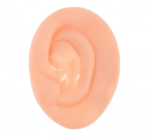 The President's Ear - 1 item