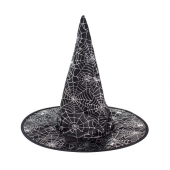 Hat Witch in spider web